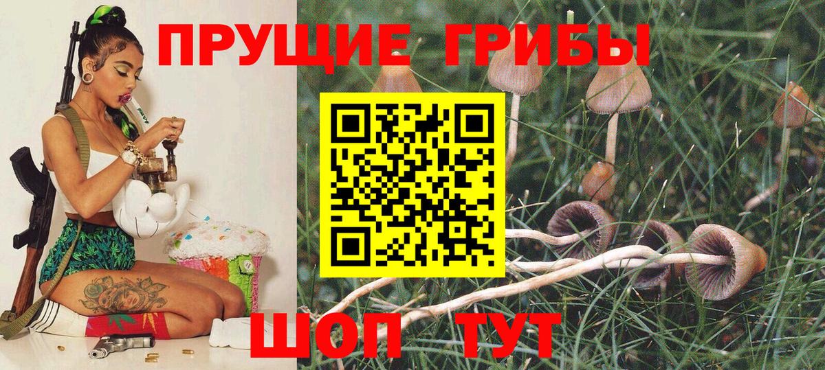 Псилоцибиновые грибы Cubensis Чита
